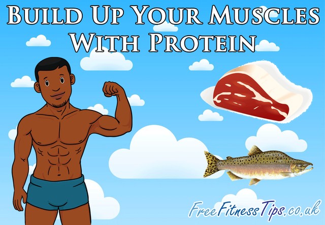 Build Up Your Muscles With Protein