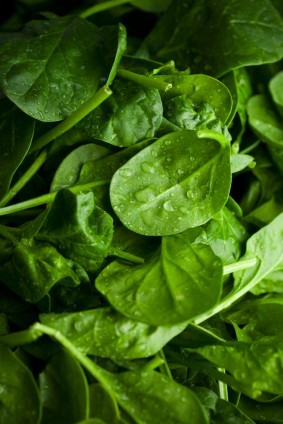 A selection of spinach leaves.