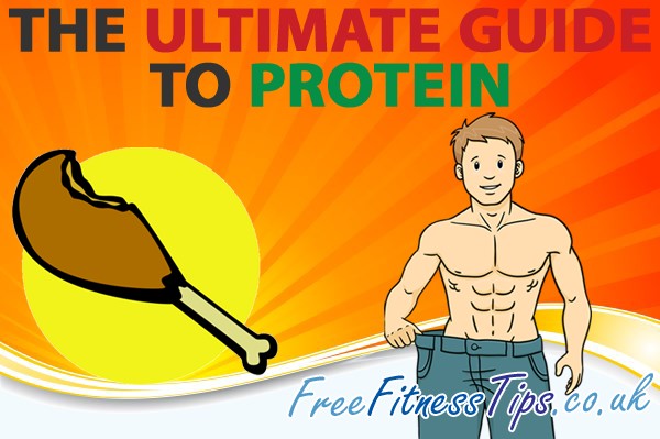 The Ultimate Guide To Protein
