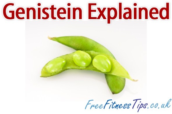 Genistein Explained