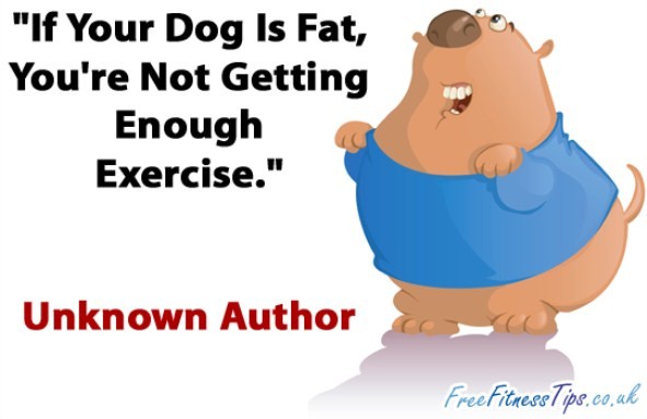 "If Your Dog Is Fat, You're Not Getting Enough Exercise." - Unknown Author