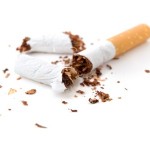 A cigarette snapped into pieces.