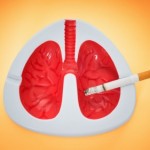 An ash tray shaped like a pair of lungs.