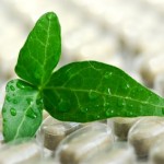 A green leaf on top of a packet of herbal supplements.
