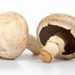 Two button mushrooms on a white background.