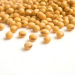 A selection of soy beans on a white background.