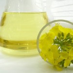 A jug of canola oil next to a canola flower.