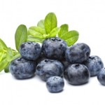 A selection of blueberries on a white background.