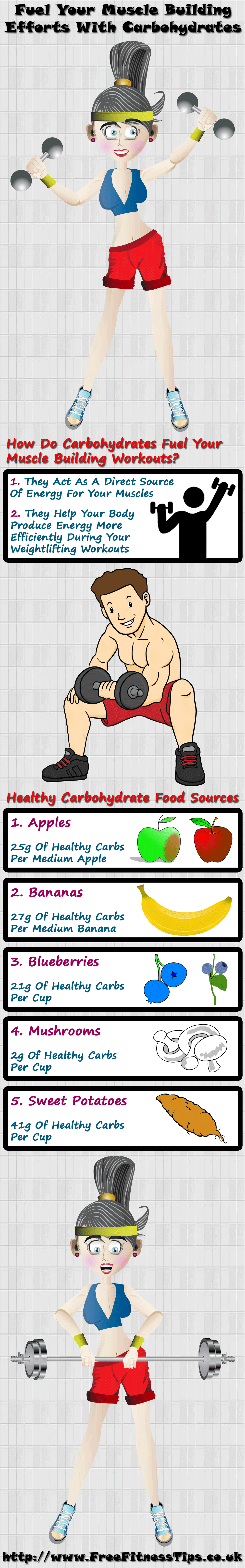 Fuel Your Muscle Building Efforts With Carbohydrates Infographic