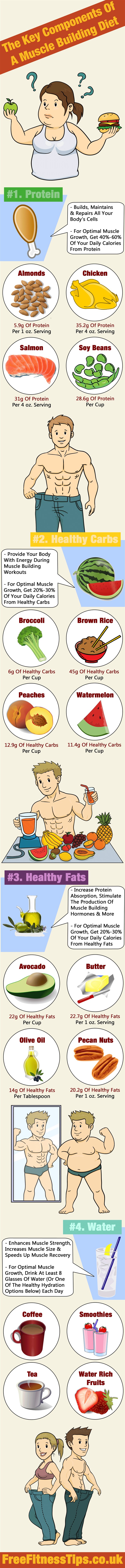 The Key Components Of A Muscle Building Diet Infographic