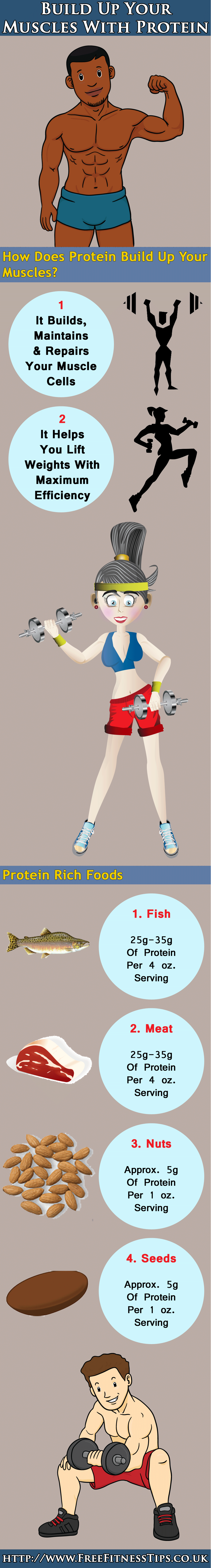Build Up Your Muscles With Protein Infographic